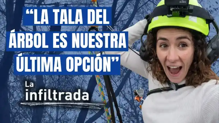 Imagen 1 de Infiltrada en el oficio de la arboricultura: suspendida a 10 metros de altura mediante una cuerda
