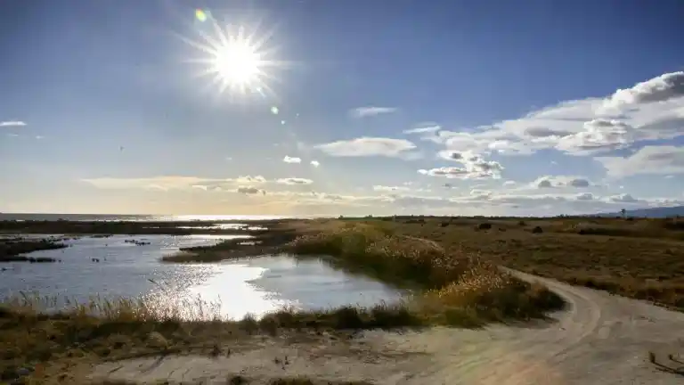 Imagen 1 de Una alianza de 30 entidades cívicas reclama el plan para restaurar la naturaleza al Gobierno