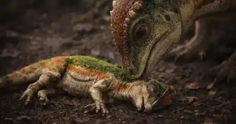 Imagen 1 de Un análisis microscópico de un dinosaurio bebé de 67 millones de años revela que murió antes de cumplir un año y tenía patas proporcionalmente más largas que los adultos
