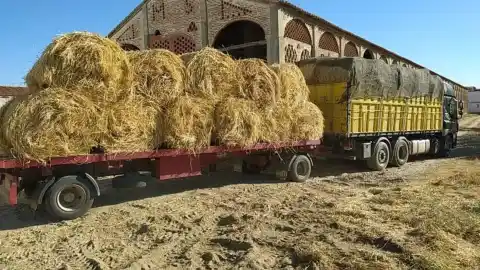 Imagen 1 de Muere un joven de 27 años aplastado por dos pacas de paja de 200 kilos en un pequeño pueblo de Guadalajara