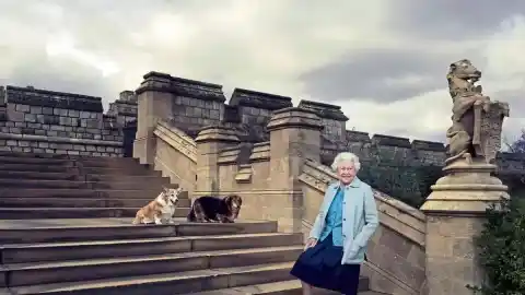 Imagen 1 de El corgi, el perro favorito de Isabel II, peligra en el Reino Unido