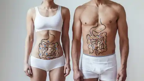 Imagen 1 de Un estudio revela que las bacterias intestinales y la dieta pueden reprogramar la grasa para quemar energía