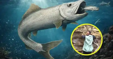 Imagen 1 de Gracias a los cuadernos de campo de un científico fallecido logran identificar un raro pez depredador de 55 millones de años encontrado en Nueva Zelanda
