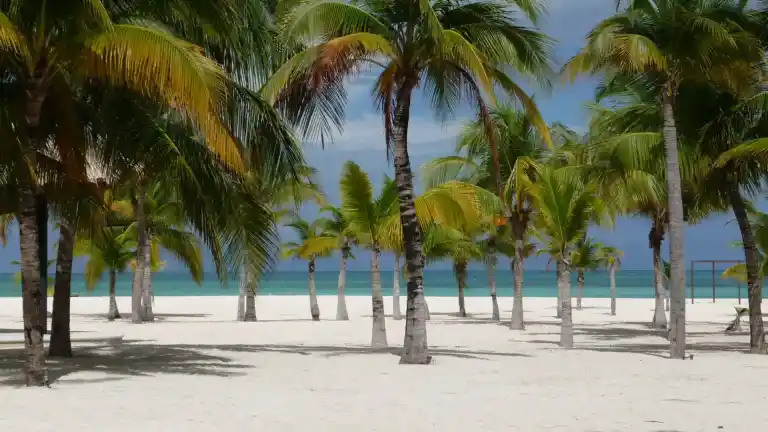 Imagen 1 de Isla Pasión de Cozumel es la mejor playa del mundo en 2026 según TripAdvisor