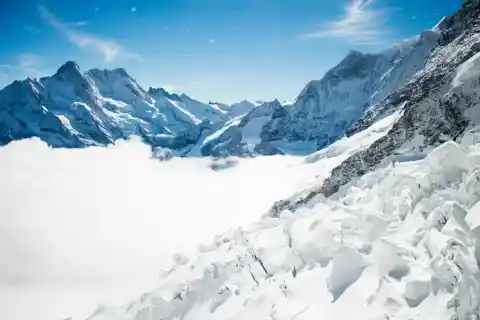 Imagen 1 de El dramático retroceso de un glaciar en el Ártico acaba de reveló un espectacular "cementerio" de ballenas prehistóricas