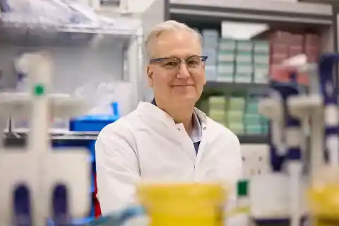 Imagen 1 de Ciencia básica de alto impacto en la Isla de la Cartuja: "CITRE es un 'hub' crucial para científicos y clínicos de toda Europa"