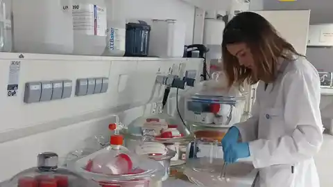 Imagen 1 de La Universidad Politécnica de Cataluña encabeza la recaudación en España del programa Horizon Europe.