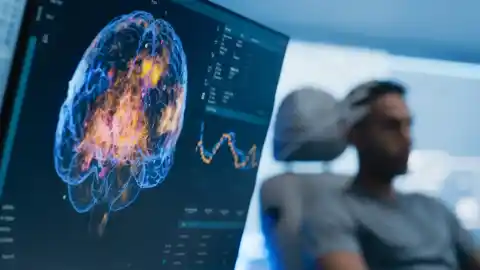 Imagen 1 de Un estudio identifica la proteína que permite al cerebro humano retener información a corto plazo