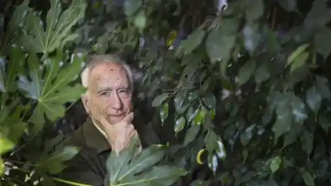 Imagen 1 de El consumo incorrecto de ayahuasca puede generar graves problemas psicológicos en los usuarios.