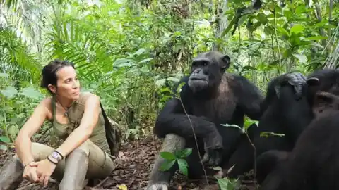 Imagen 1 de Análisis global revela que la rotación de especies se ha frenado un tercio desde los años 70 en medio millón de sitios.