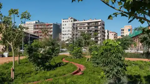 Imagen 1 de Inversión en arbolado y zonas verdes transforma la calidad de vida urbana