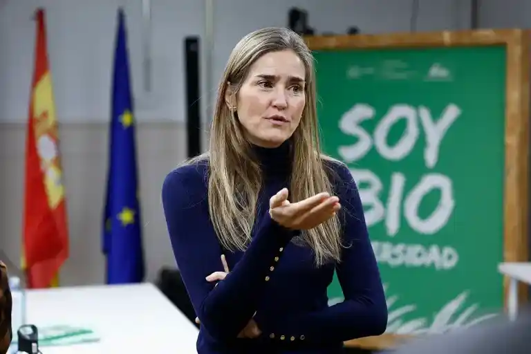 Imagen 1 de España advierte a la UE contra la suspensión del mercado de carbono para intentar bajar los precios de la energía