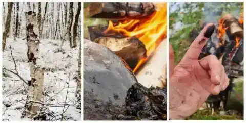 Imagen 1 de Neandertales empleaban brea de abedul para curar heridas