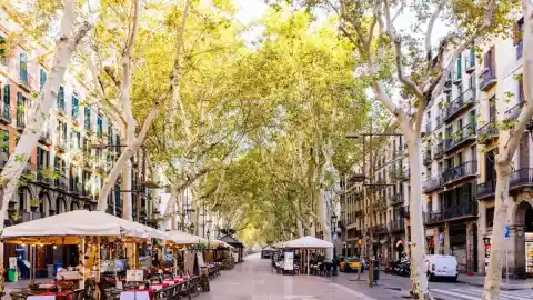Imagen 1 de En Barcelona es más fácil comer japonés que catalán