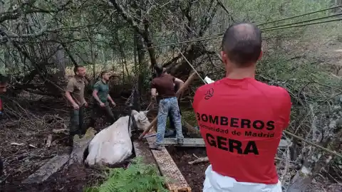 Imagen 1 de Bomberos de Madrid realizaron 20.987 intervenciones
