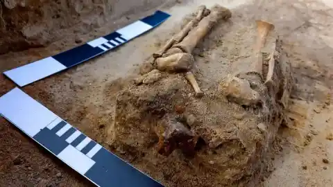 Imagen 1 de Un cementerio de “marginados” en Polonia revela extraños enterramientos en el siglo XVII