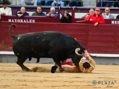 Imagen 1 de Cuadri arruina inicio de temporada con toreros mansos