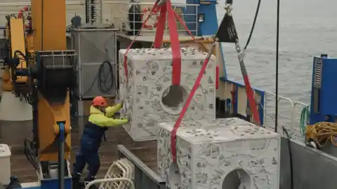 Imagen 1 de Reino Unido hunde bloques de 6.000 kg para restaurar