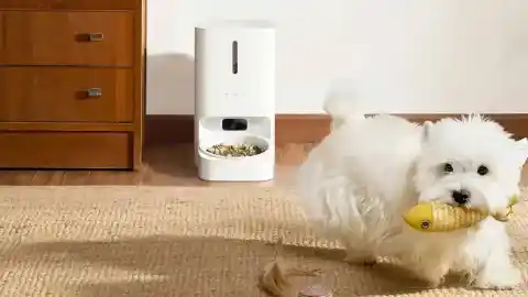 Imagen 1 de Xiaomi lanza comedero inteligente para mascotas por menos