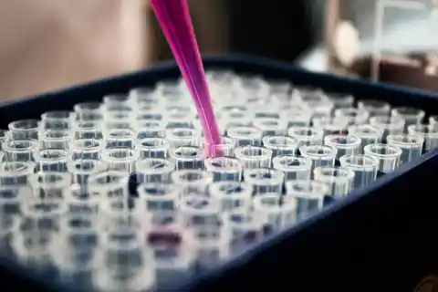 Imagen 1 de Células T con anzuelos moleculares atacan cáncer de próstata