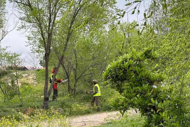 Imagen 1 de Madrid crea parque verde de 63.000 m² en Montecarmelo