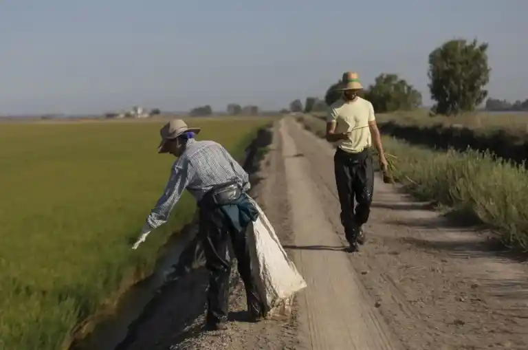 Imagen 1 de Los migrantes regularizados tendrán la oportunidad de desarrollar una actividad laboral asalariada o autónoma durante un plazo de un año, que podrá ser prorrogado.