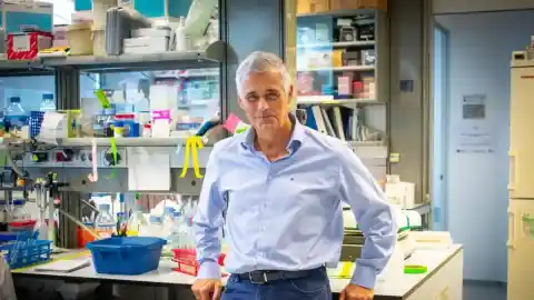 Imagen 1 de El biólogo Luis Serrano, quien dirige el CRG, recibe el Premi Nacional de Recerca